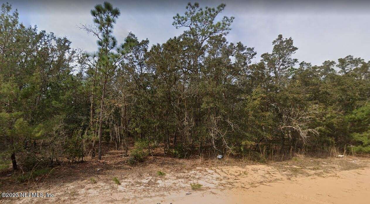 0.44 Acres of Residential Land for Sale in Interlachen, Florida