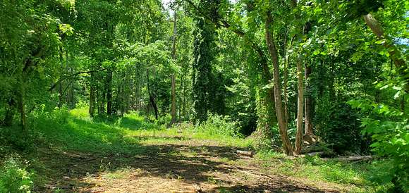 30 Acres of Recreational Land for Sale in Roaring River, North Carolina