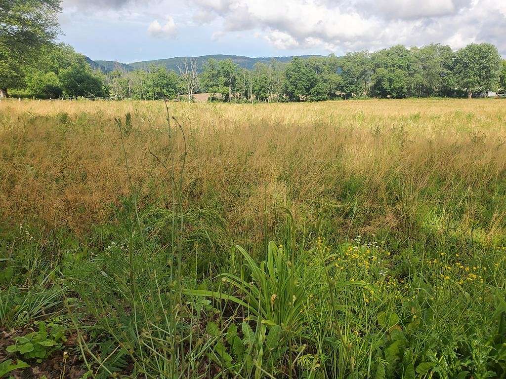 3.7 Acres of Residential Land for Sale in Towanda, Pennsylvania