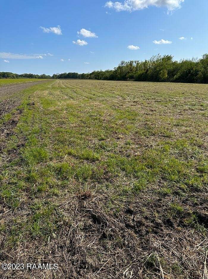 14.75 Acres of Agricultural Land for Sale in New Iberia, Louisiana