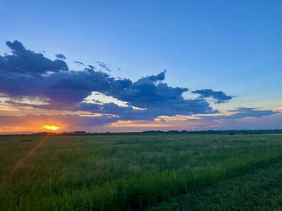10 Acres of Agricultural Land for Sale in Wildorado, Texas