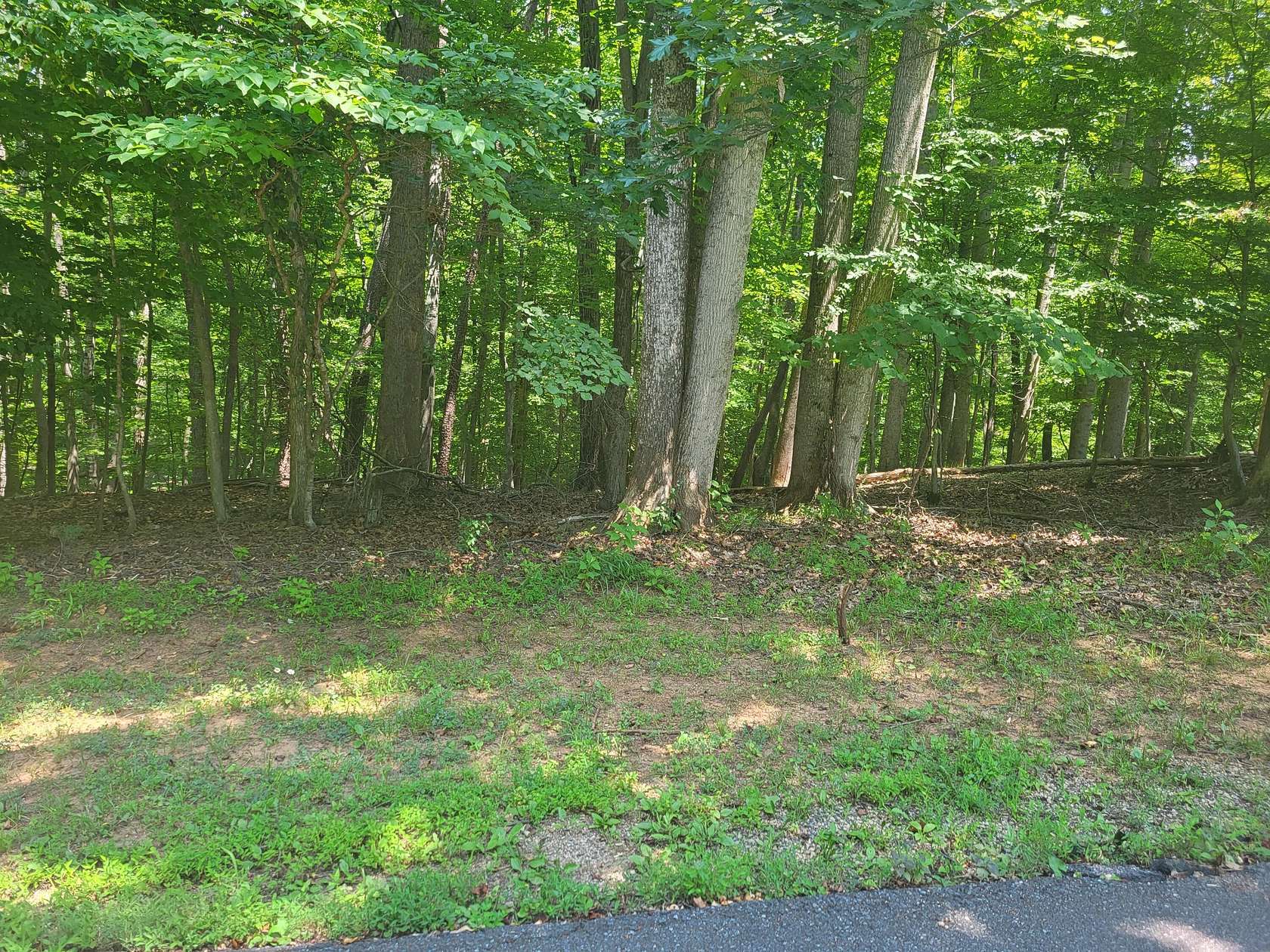 0.63 Acres of Residential Land for Sale in Moneta, Virginia