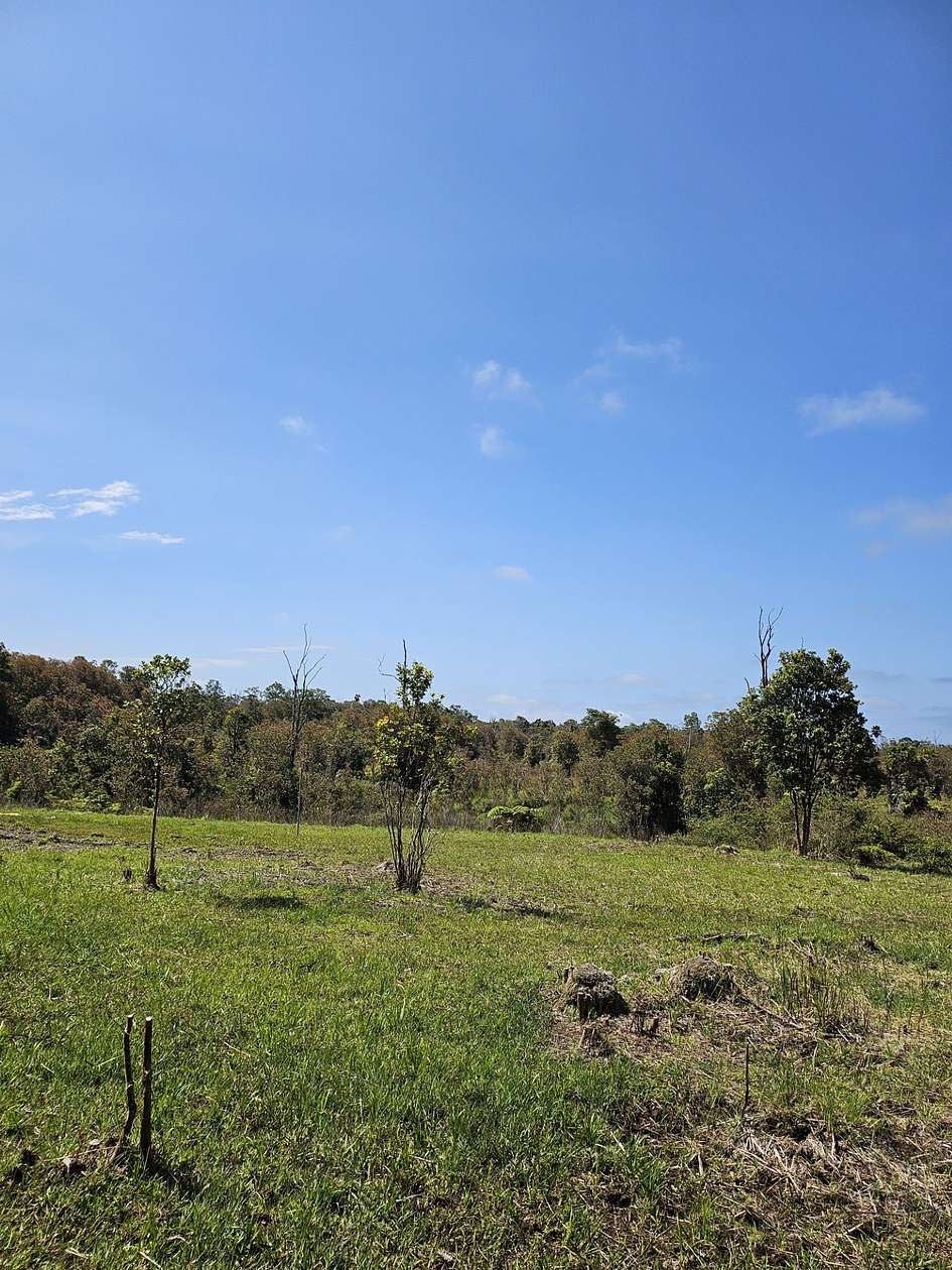10.001 Acres of Land for Sale in Mountain View, Hawaii
