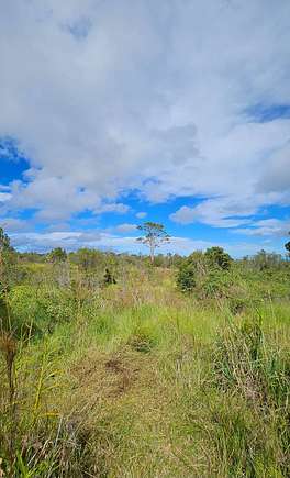 10 Acres of Land for Sale in Mountain View, Hawaii