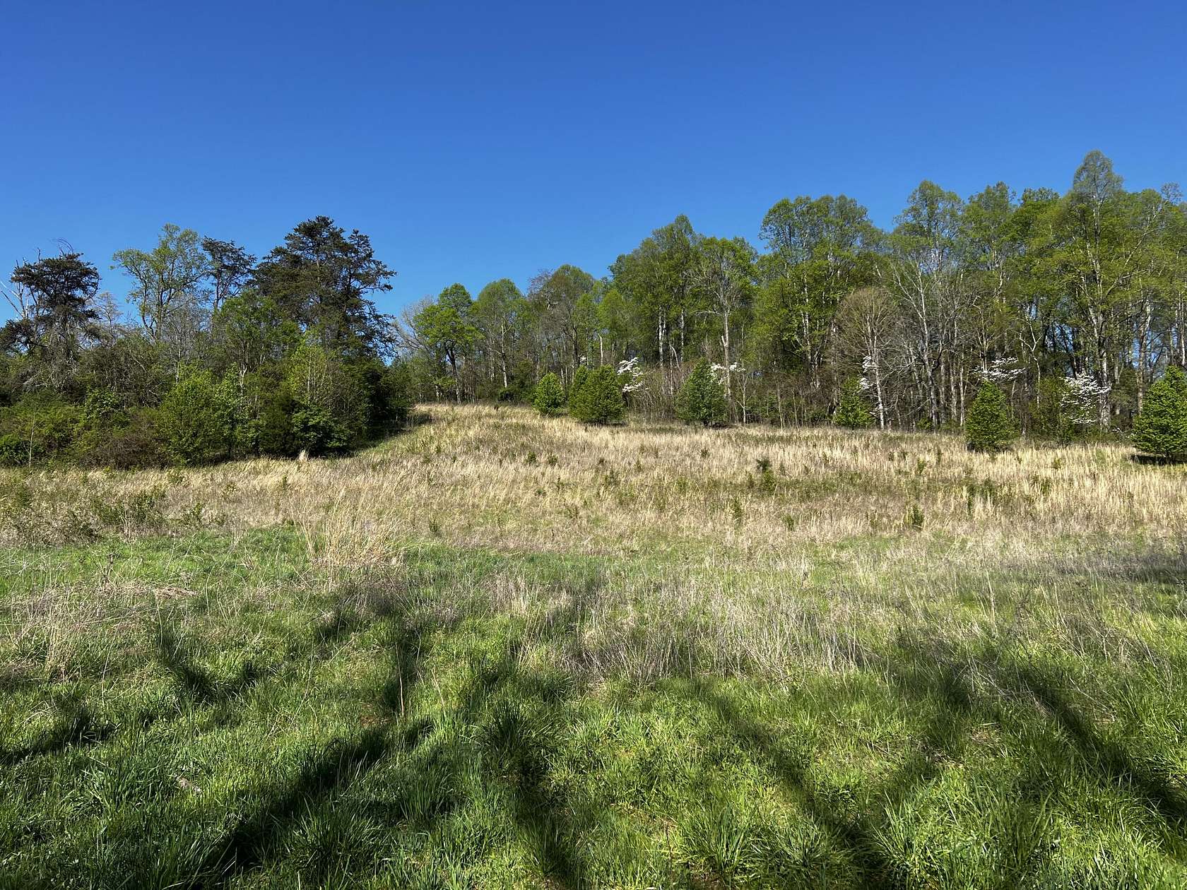 7.5 Acres of Residential Land for Sale in Bristol, Tennessee