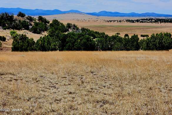 4.8 Acres of Land for Sale in Concho, Arizona