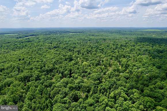 118.5 Acres of Recreational Land for Sale in Vowinckel, Pennsylvania