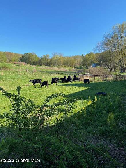 30 Acres of Agricultural Land with Home for Sale in Berne, New York ...