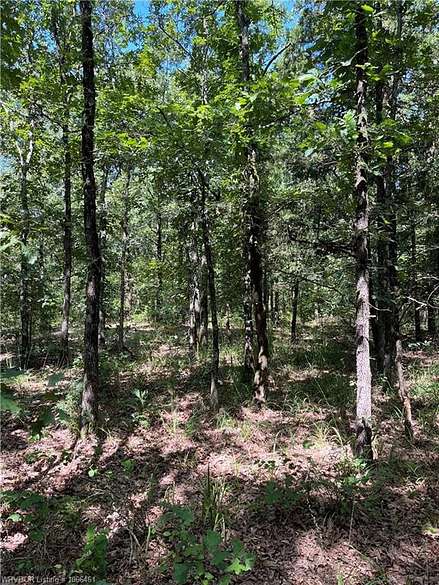 10 Acres of Recreational Land for Sale in Whitesboro, Oklahoma