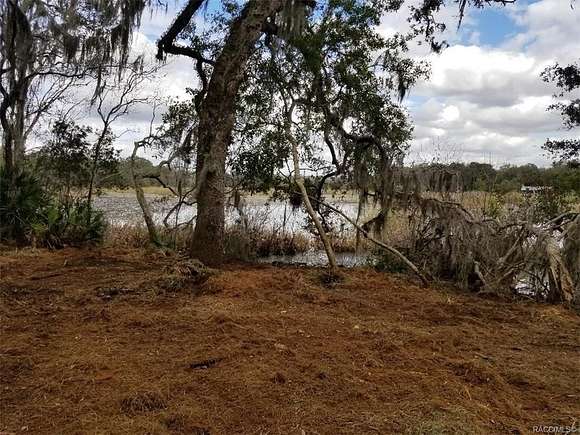 9.7 Acres of Residential Land for Sale in Inverness, Florida