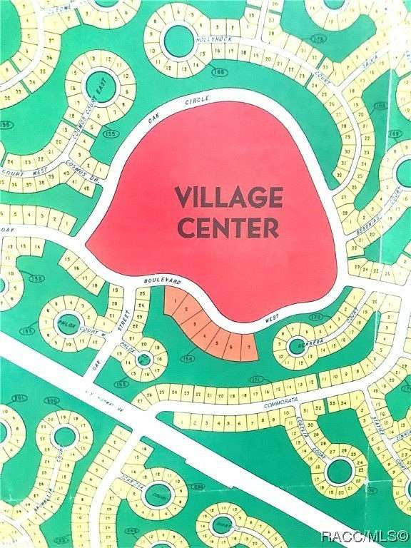 49.2 Acres of Land for Sale in Homosassa, Florida