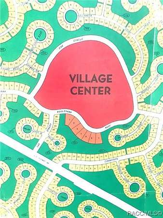 49.2 Acres of Land for Sale in Homosassa, Florida