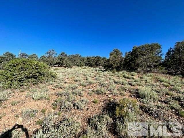 11 Acres of Land for Sale in Reno, Nevada