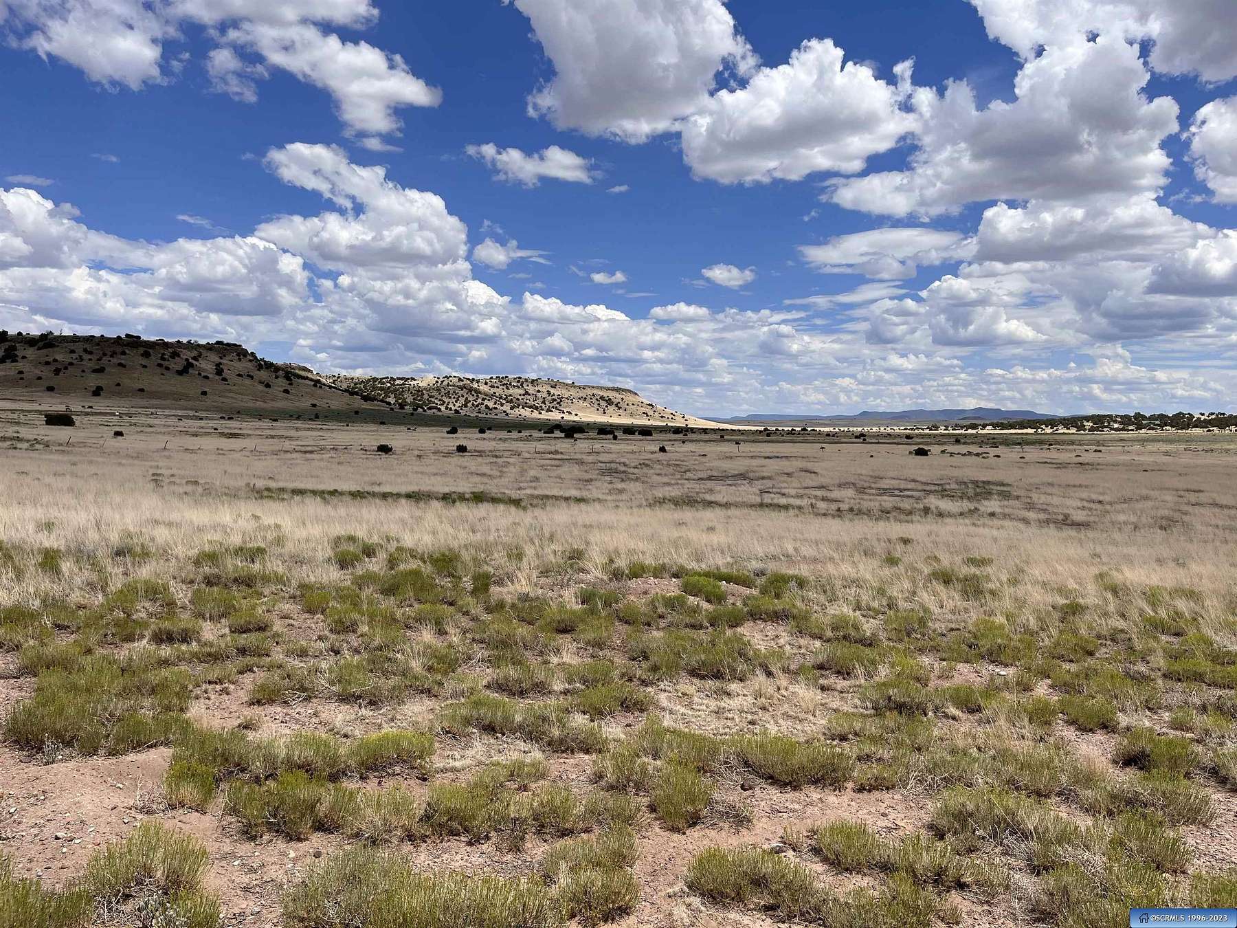 33.5 Acres of Land for Sale in Quemado, New Mexico
