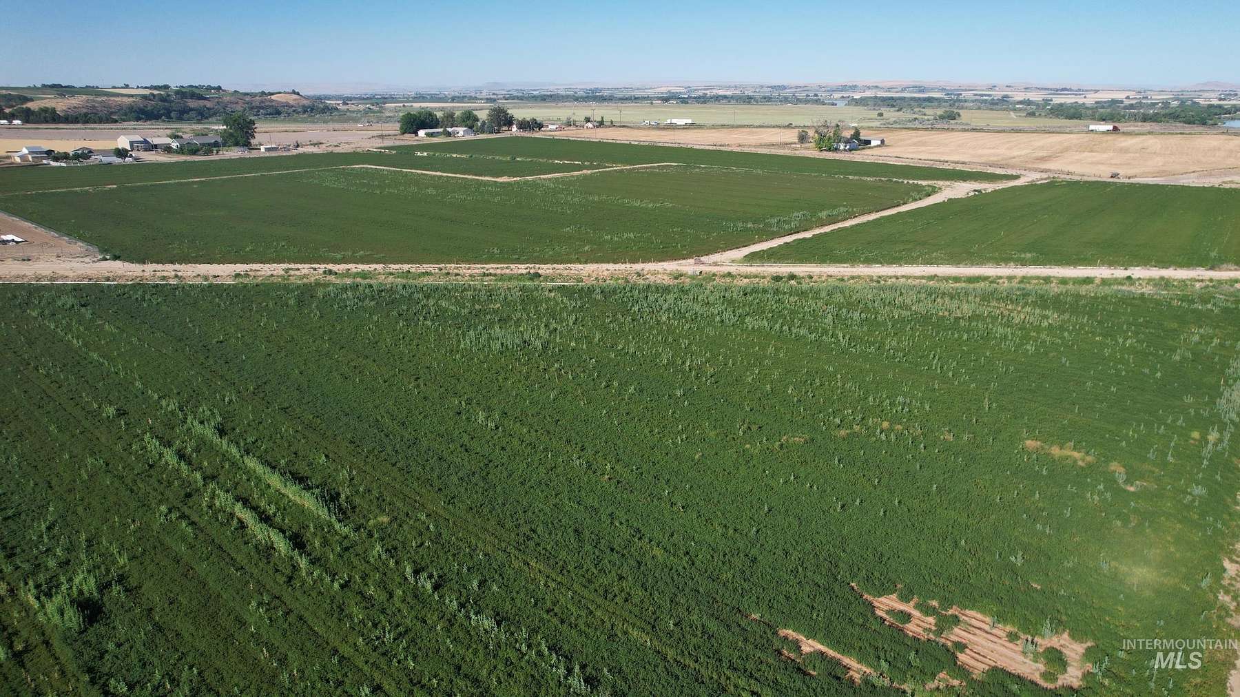 11.7 Acres of Land for Sale in Fruitland, Idaho