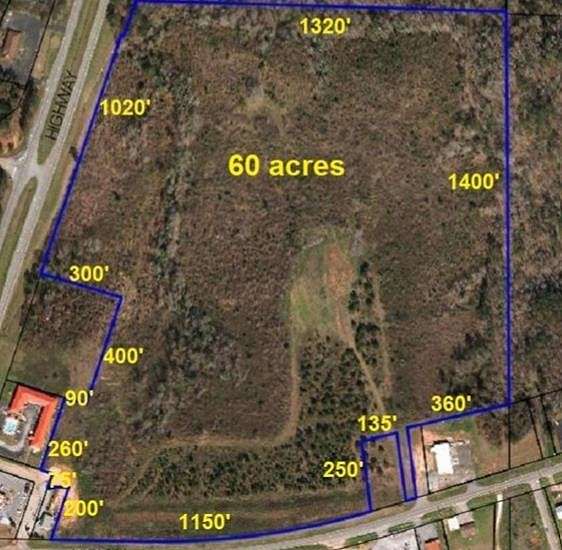 60 Acres of Land for Sale in Abbeville, Alabama