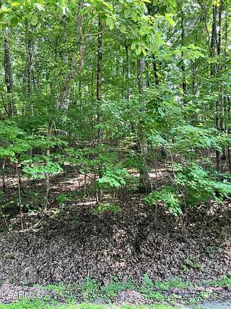 0.24 Acres of Land for Sale in Crossville, Tennessee