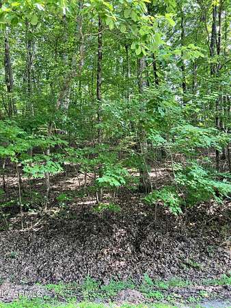 0.24 Acres of Land for Sale in Crossville, Tennessee