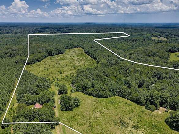 138 Acres of Land for Sale in Appling, Georgia