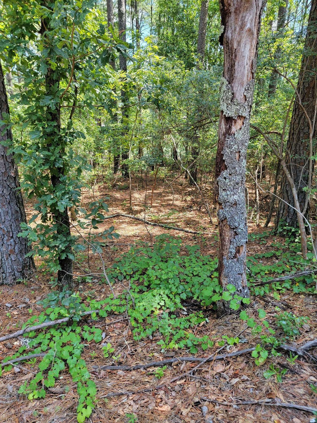 0.51 Acres of Residential Land for Sale in Aiken, South Carolina