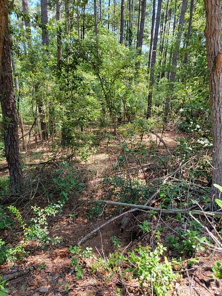 0.27 Acres of Residential Land for Sale in Aiken, South Carolina