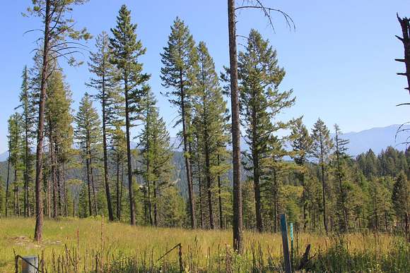 1.4 Acres of Residential Land for Sale in Bigfork, Montana
