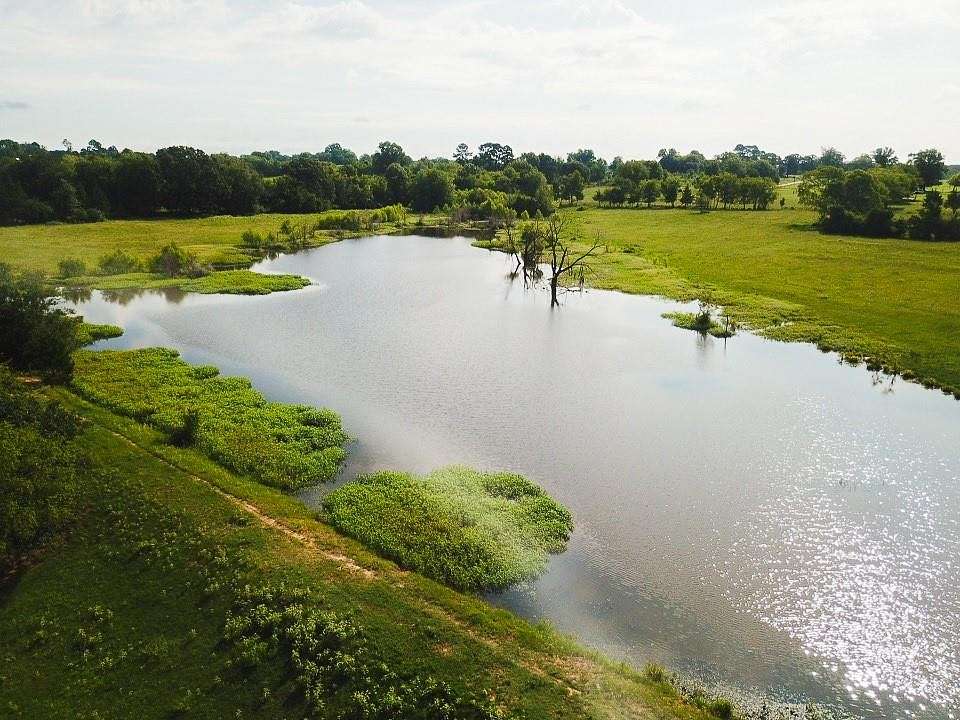 49 Acres of Recreational Land for Sale in De Kalb, Texas