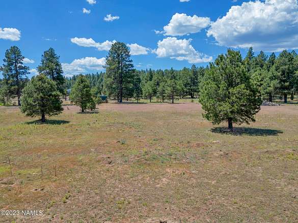 10 Acres of Land for Sale in Flagstaff, Arizona