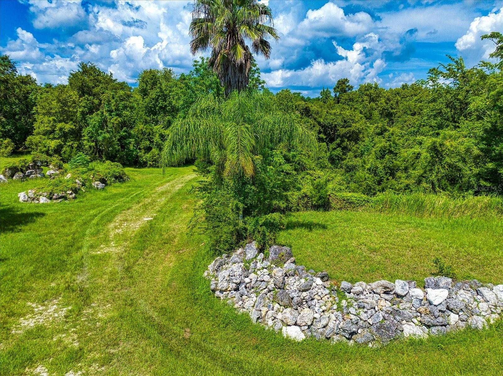 40 Acres of Agricultural Land for Sale in Brooksville, Florida