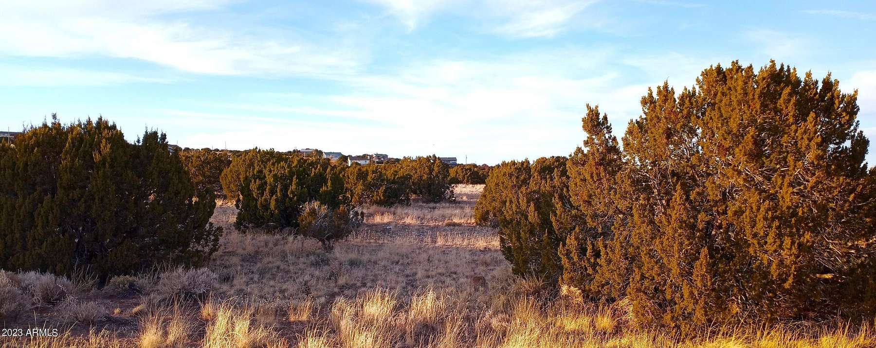 1.9 Acres of Residential Land for Sale in Concho, Arizona
