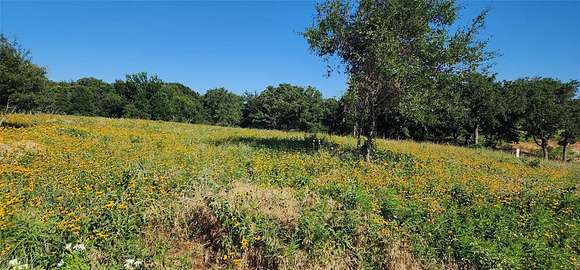 3.6 Acres of Residential Land for Sale in Springtown, Texas