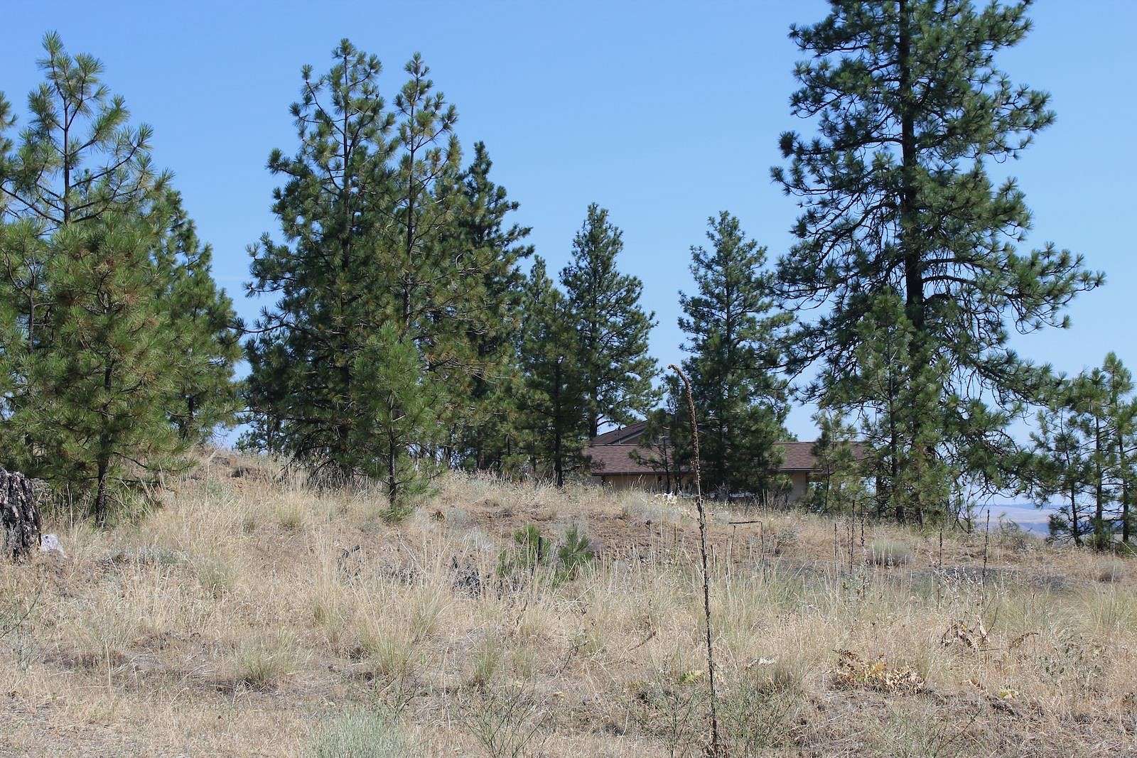 2.7 Acres of Residential Land for Sale in Davenport, Washington