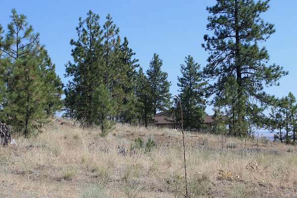 2.73 Acres of Residential Land for Sale in Davenport, Washington