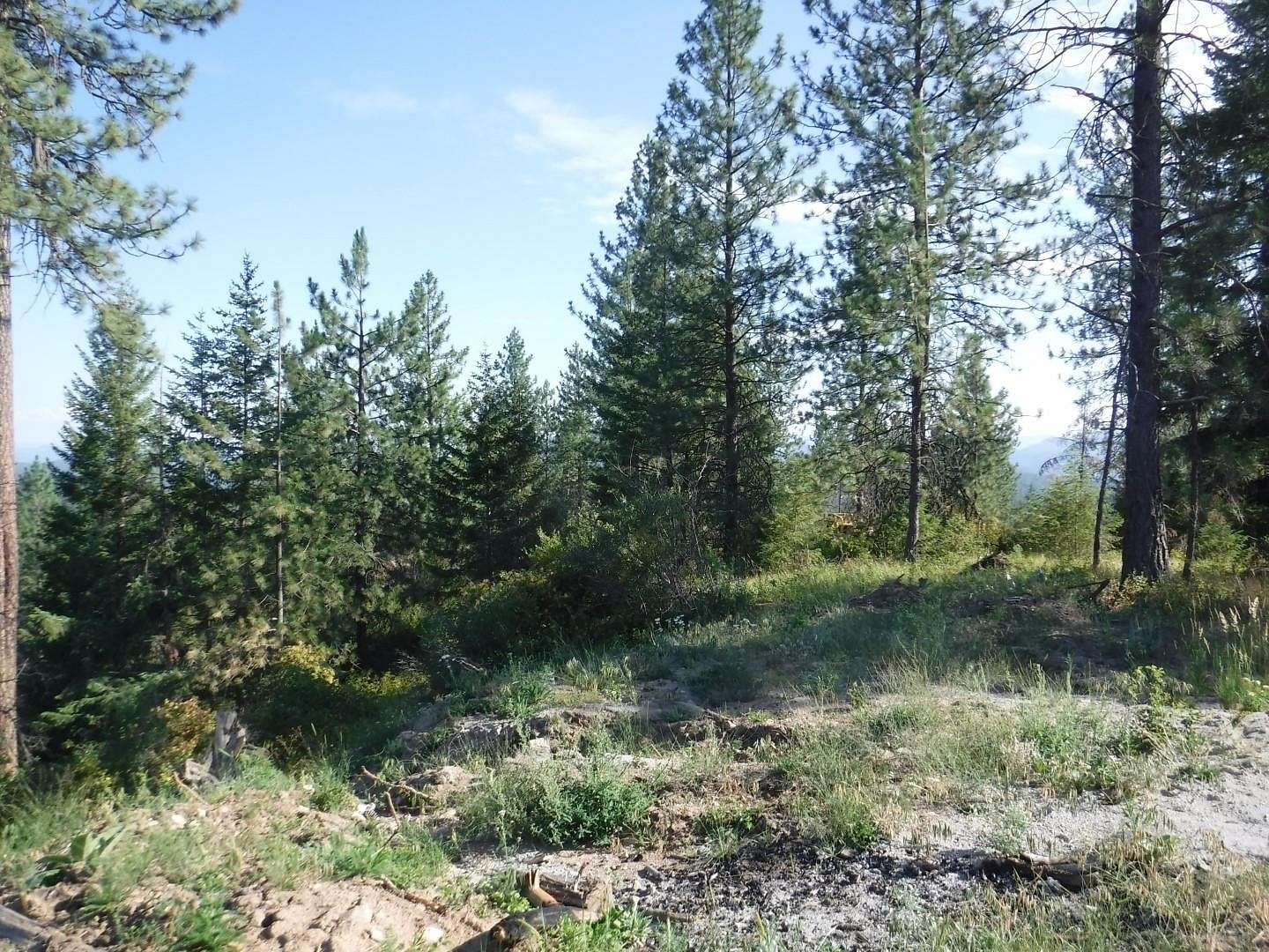 21 Acres of Land for Sale in Loon Lake, Washington