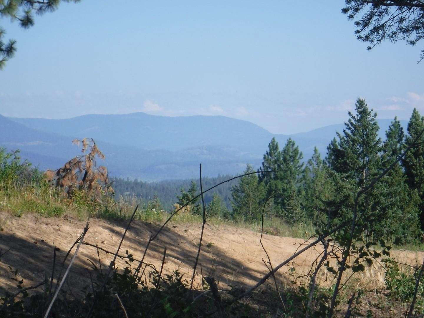 19.8 Acres of Land for Sale in Loon Lake, Washington