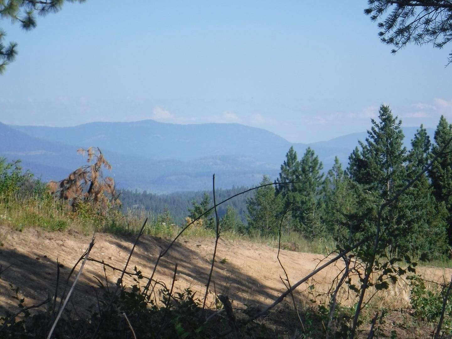 19.84 Acres of Land for Sale in Loon Lake, Washington