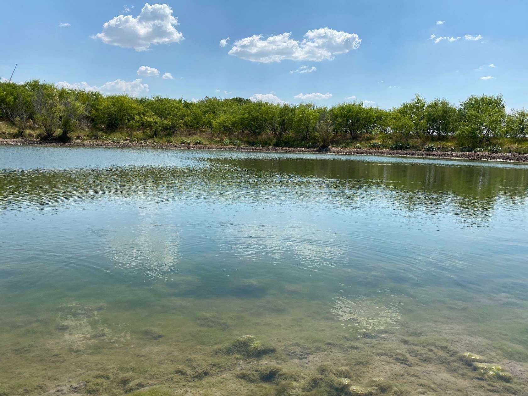 157 Acres of Land for Sale in Prairie Hill, Texas