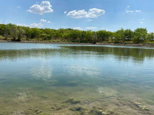 157 Acres of Land for Sale in Prairie Hill, Texas