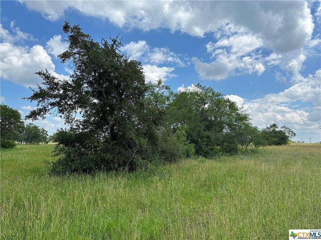 16 Acres of Land for Sale in Goliad, Texas