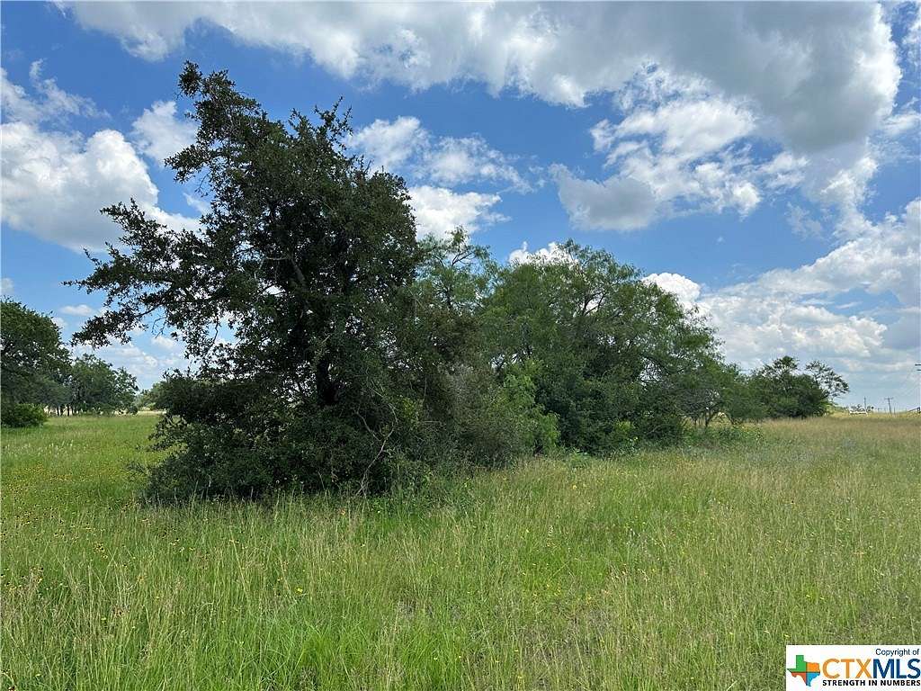 16 Acres of Land for Sale in Goliad, Texas