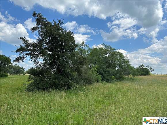 16 Acres of Land for Sale in Goliad, Texas