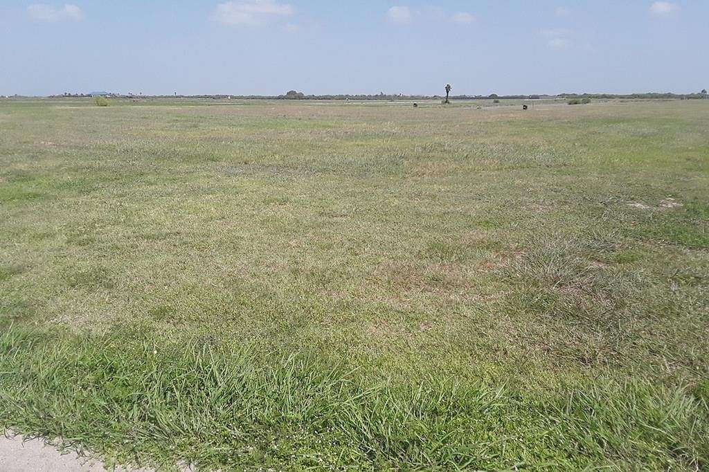 0.24 Acres of Mixed-Use Land for Sale in Palacios, Texas