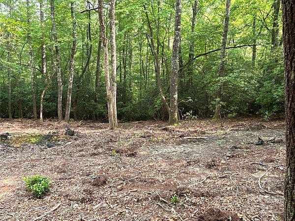 32 Acres of Recreational & Residential Land for Sale in Pisgah Forest, North Carolina