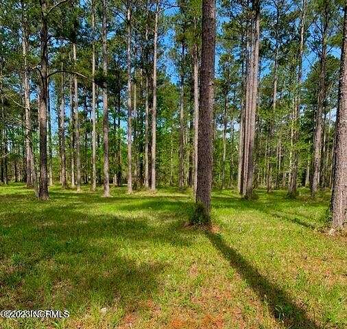 1.1 Acres of Residential Land for Sale in Arapahoe, North Carolina