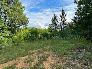 0.35 Acres of Residential Land for Sale in Johnson City, Tennessee