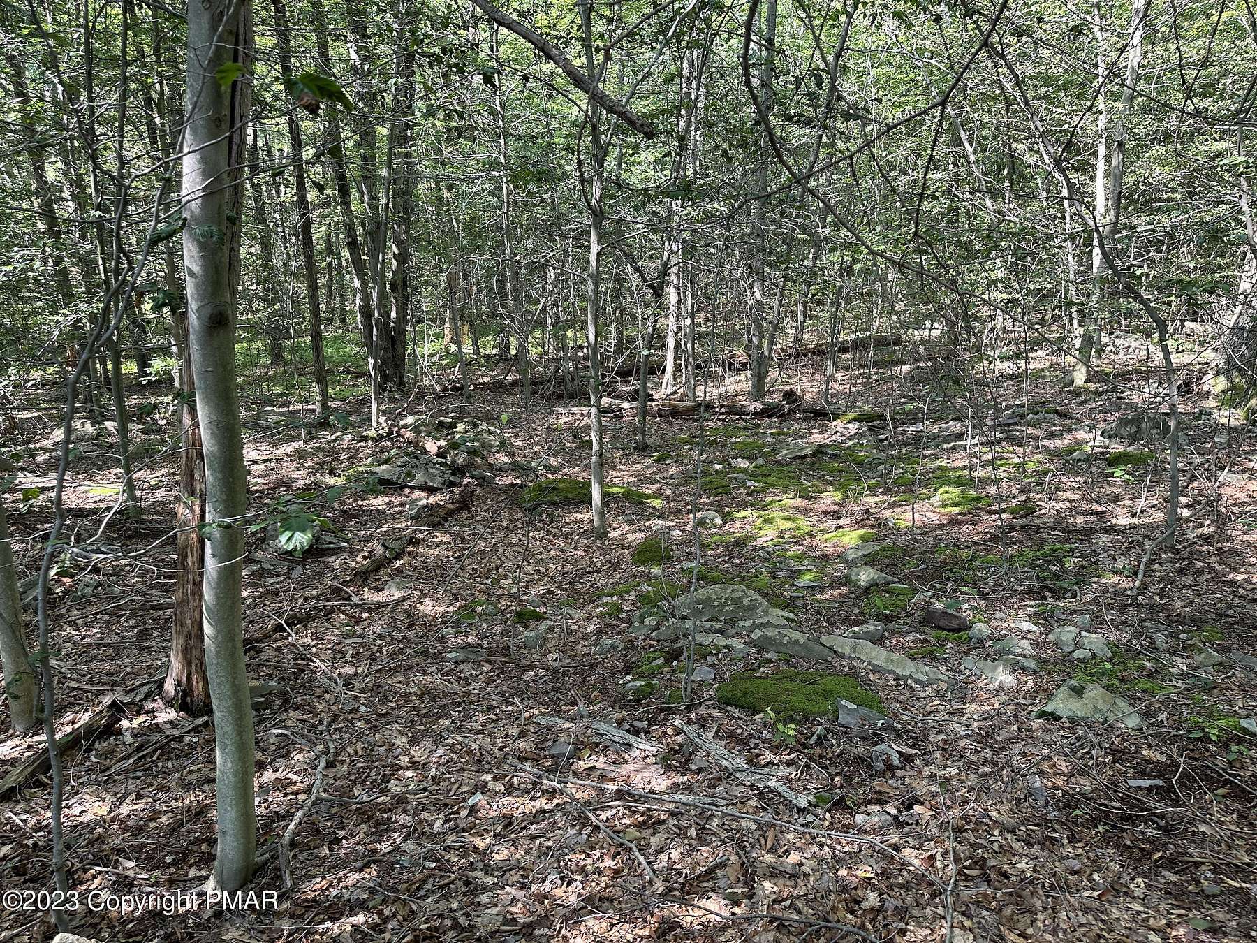 0.64 Acres of Residential Land for Sale in Canadensis, Pennsylvania