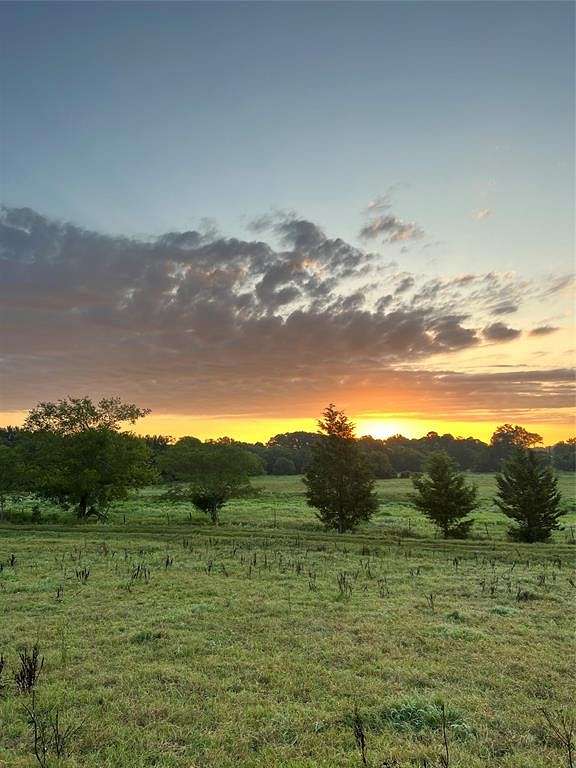25.8 Acres of Recreational Land for Sale in De Kalb, Texas
