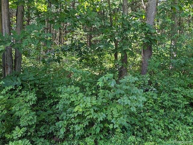 6.7 Acres of Residential Land for Sale in Lapeer, Michigan