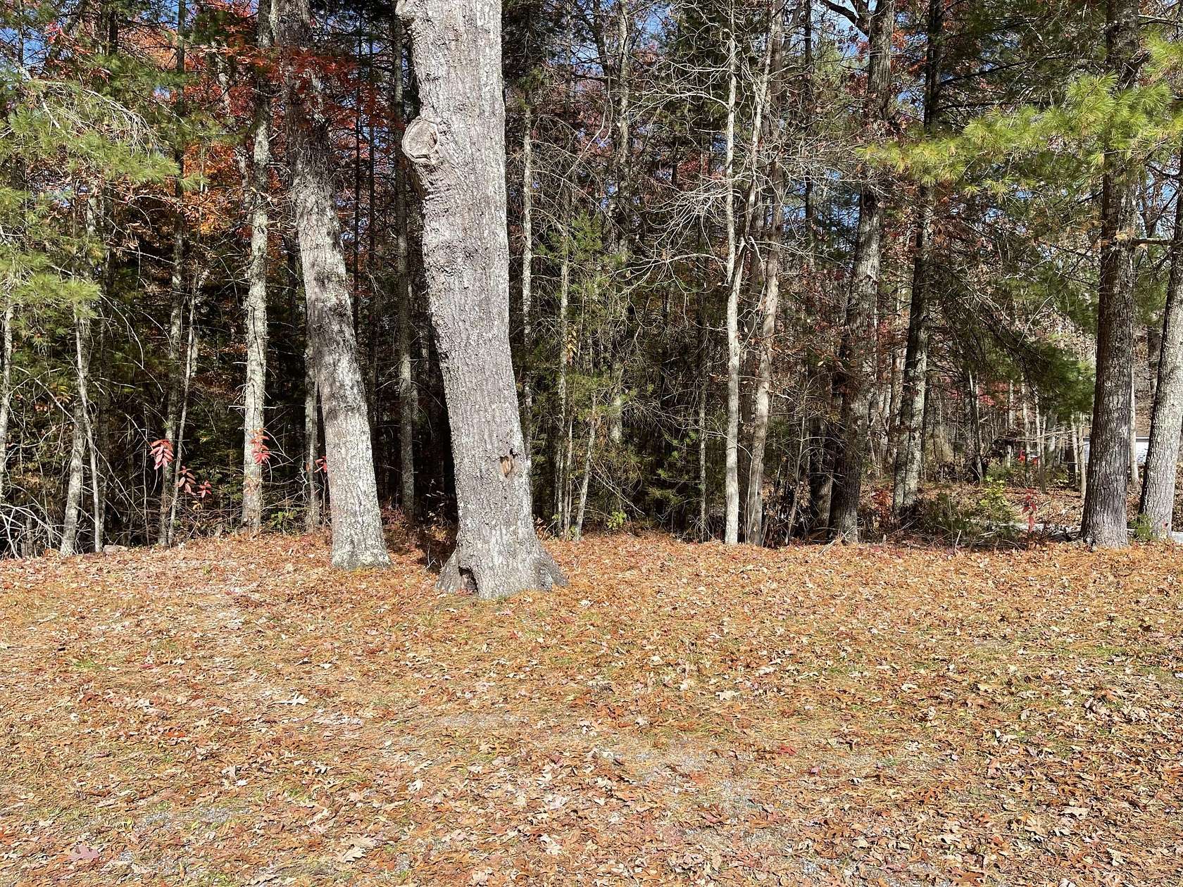 5 Acres of Land for Sale in Rock, West Virginia