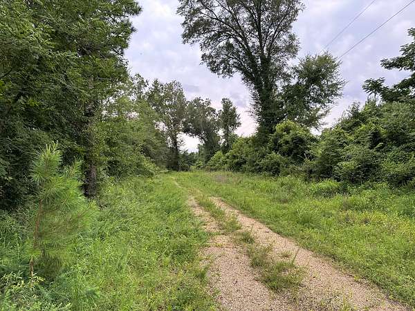 327 Acres of Land for Sale in Warren, Arkansas